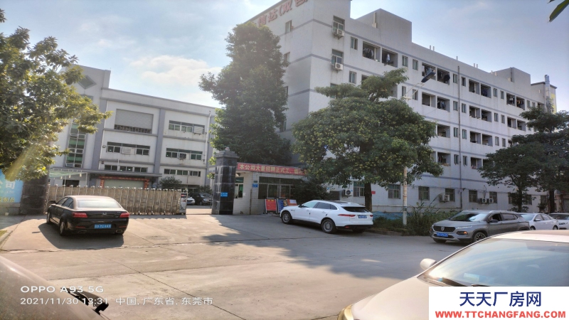東莞市鳳崗鎮３０００平方米紅本全新六樓廠房出售