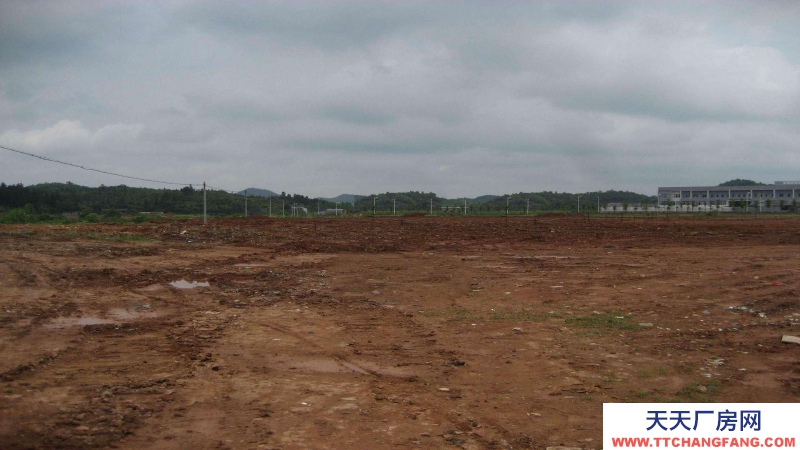 東莞市鳳崗鎮３０００平方米紅本全新六樓廠房出售