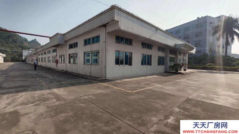 東莞市清溪鎮30000平方獨門獨院廠房包租