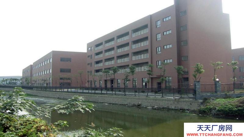 東莞市塘廈鎮(zhèn)３００００平方標準獨棟廠房出租