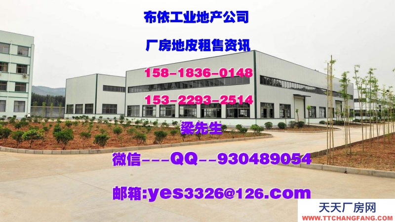 廣東省東莞市鳳崗鎮(zhèn)45000平方獨(dú)棟倉房出租