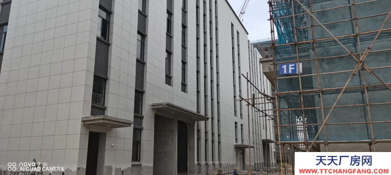 框架結構工業廠房出售 入住辦證 無基礎電費