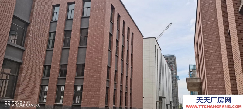 12.5米單一層園區(qū)廠房出售 交房辦證