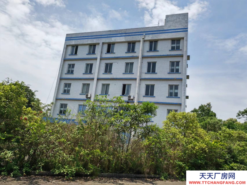 租售均可四川工業(yè)廠房 可做倉(cāng)庫(kù)使用  設(shè)施齊全 位置好