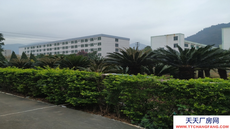 東莞市寮步鎮(zhèn)2000平米2樓噴涂印刷廠房出租