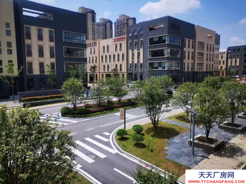 廬陽區(qū)經(jīng)開區(qū)高端都市產(chǎn)業(yè)園