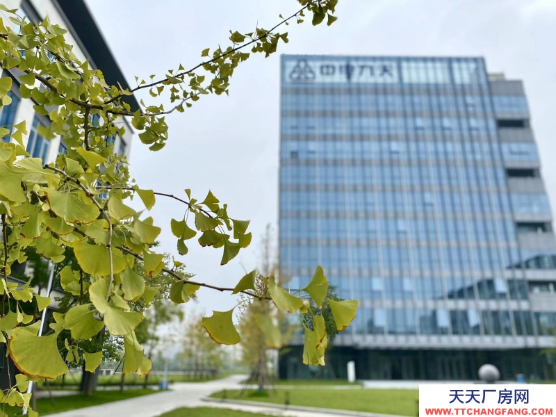 政府平臺科創空間，孵化總部，政策補貼，100起