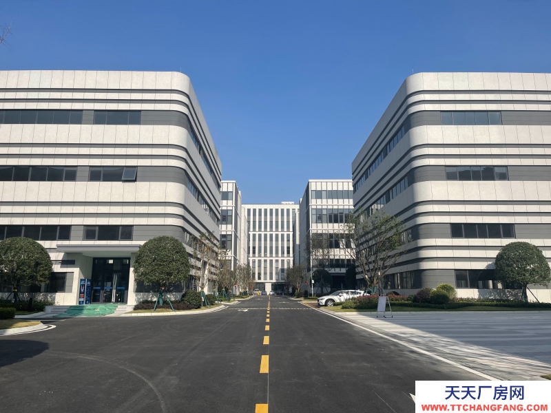 汽車城板塊，覆蓋中和新川