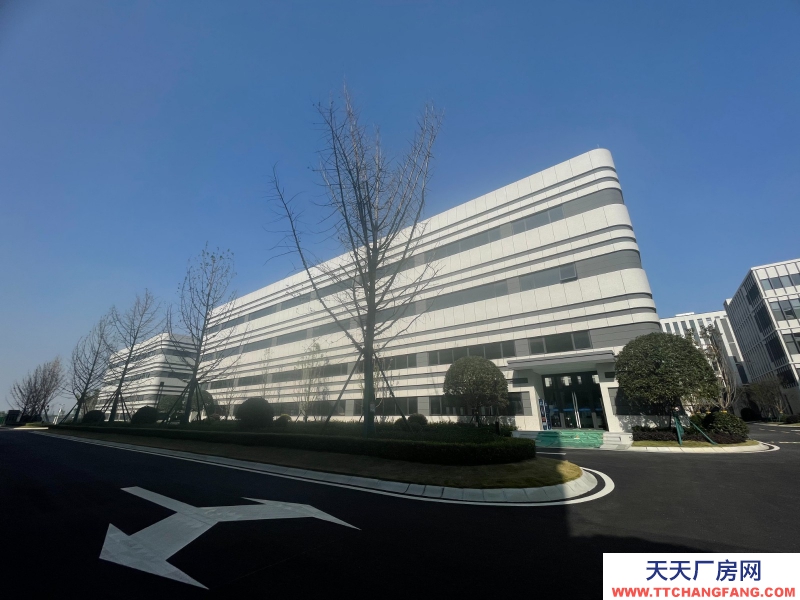 汽車城板塊，覆蓋中和新川