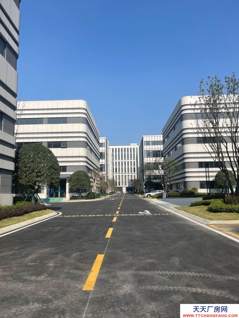 汽車城板塊，覆蓋中和新川