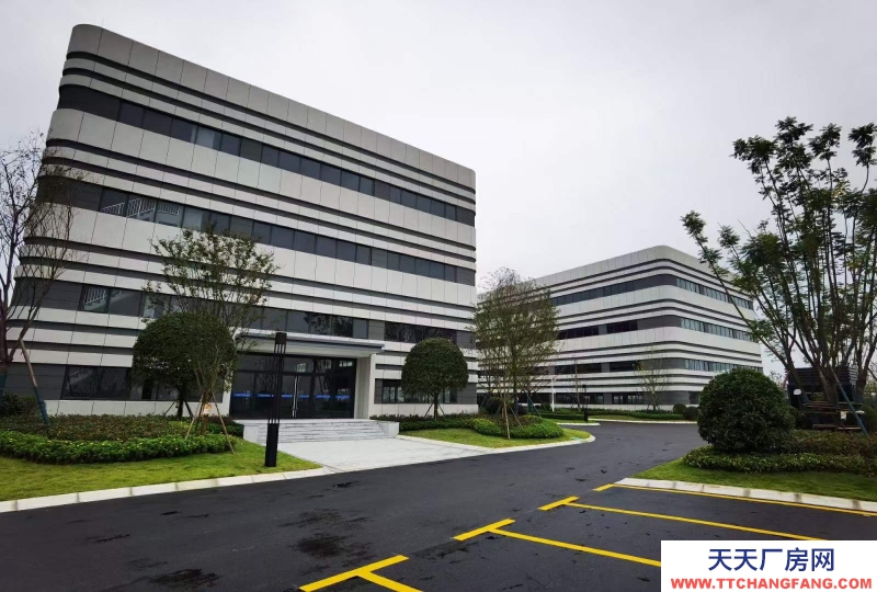 汽車城板塊，覆蓋中和新川