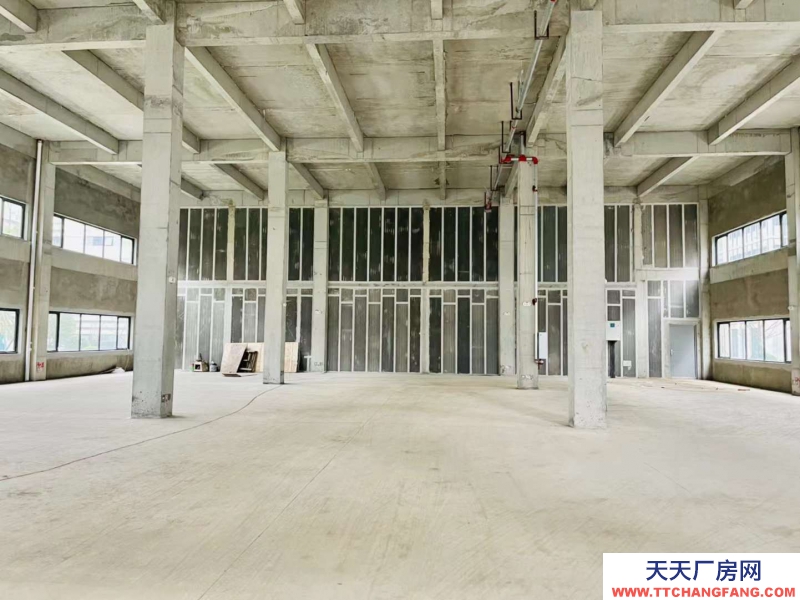 汽車城板塊，覆蓋中和新川