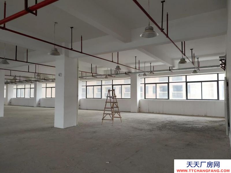 前2個月免租金!中山翠亨新區(qū)廠房出租,每平15元,深中通道旁