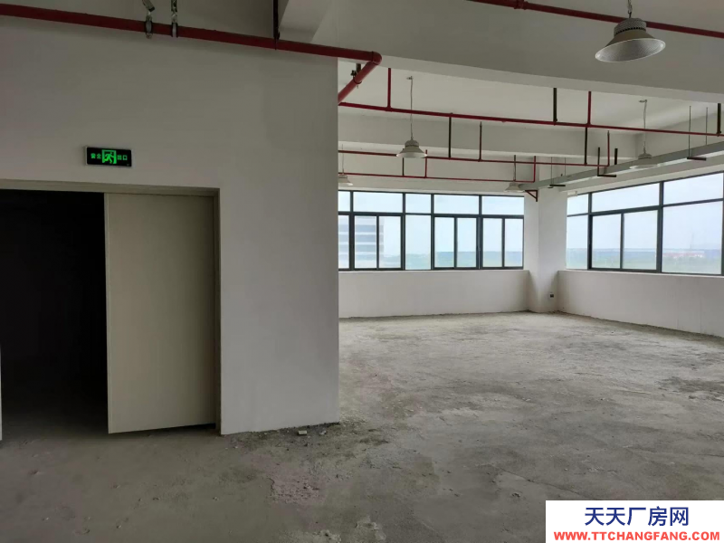 前2個月免租金!中山翠亨新區(qū)廠房出租,每平15元,深中通道旁