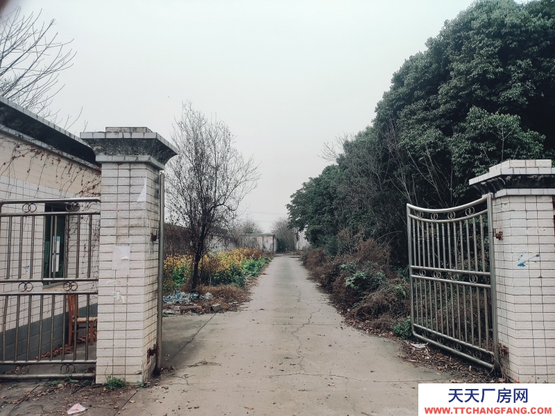 近工業大道獨院廠房直租