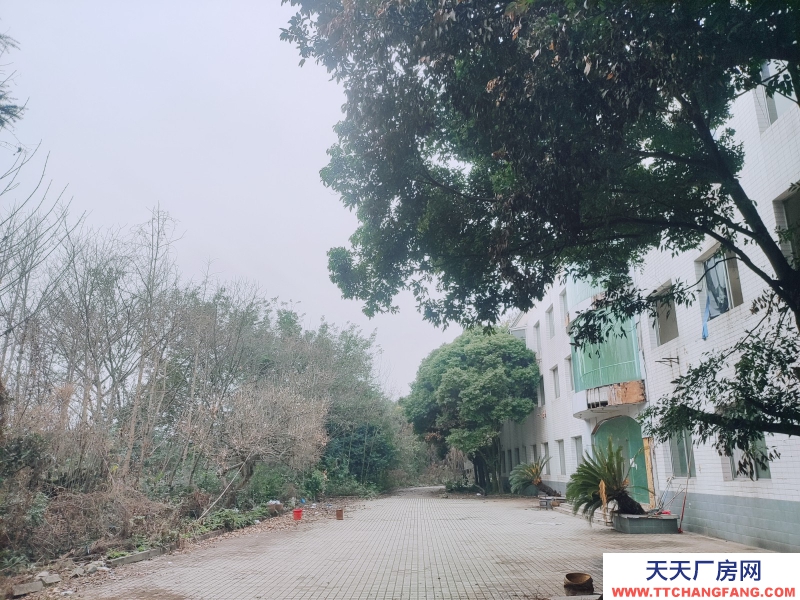 近工業(yè)大道獨(dú)院廠房直租