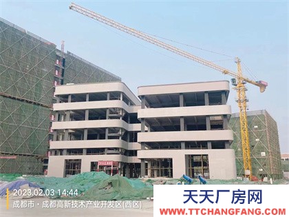 成都高新電子產業園出租