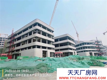 成都高新電子產業園出租
