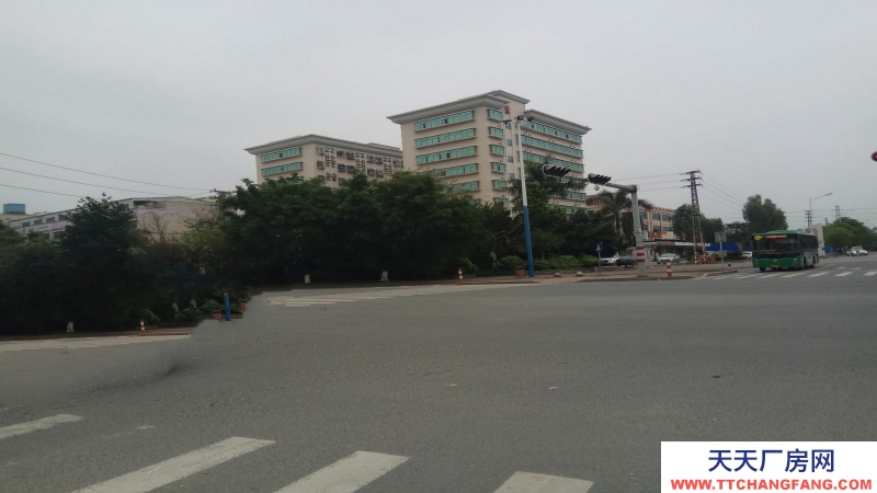 東莞市黃江鎮１２０００平方米兩層全新倉庫出租