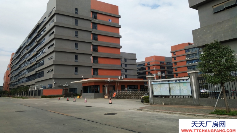 東莞市鳳崗鎮(zhèn)１８０００平方米現(xiàn)成冷凍倉(cāng)庫(kù)出租