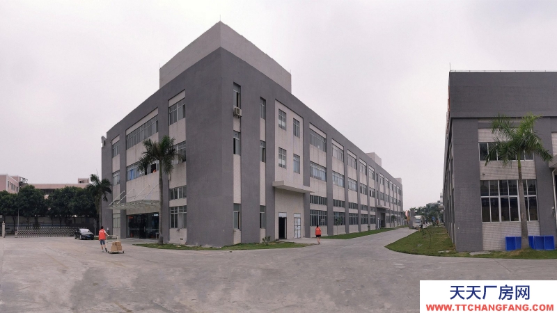 廣東東莞市石排鎮(zhèn)２４０００平方一二樓倉庫出租