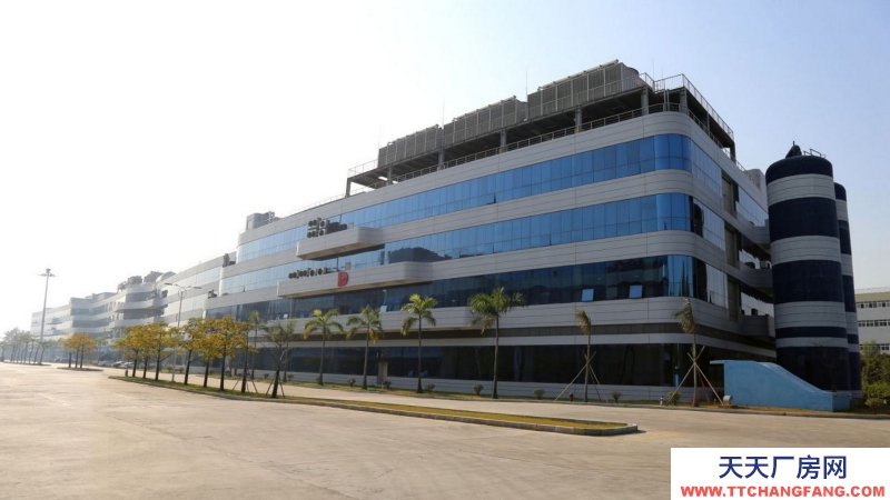 廣東省東莞市塘廈鎮(zhèn)２６０００平方高臺倉庫出租