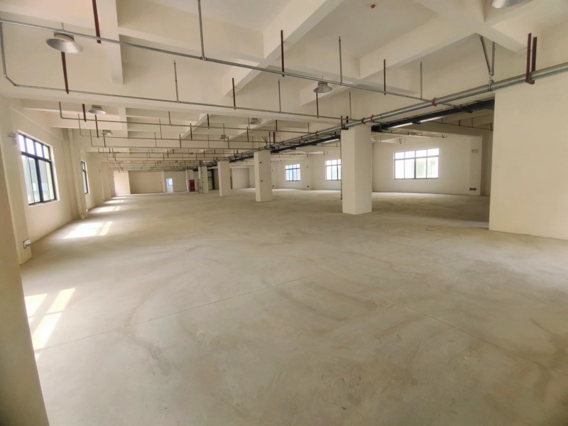 龍泉區全新框架廠房 帶貨梯 帶衛生間 可分租
