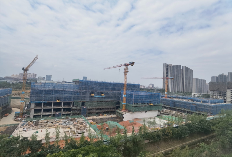 新園區(qū)，獨(dú)棟開發(fā)商直租，50年工業(yè)產(chǎn)權(quán)可以辦理全資質(zhì)，可建立實(shí)驗(yàn)室