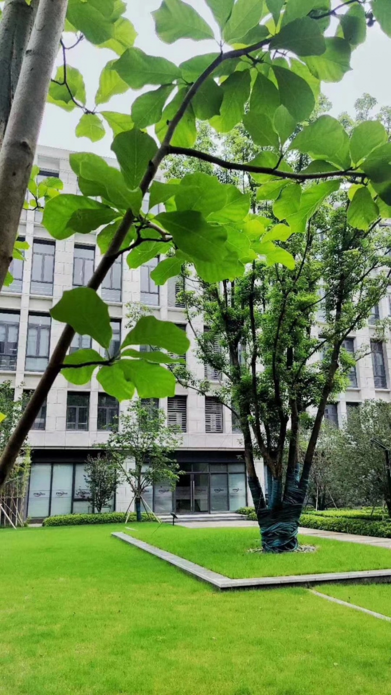 天府新區視高S5號線旁 50年產權廠房招商 1100平起獨棟 贈送面積大 得房率最高120%