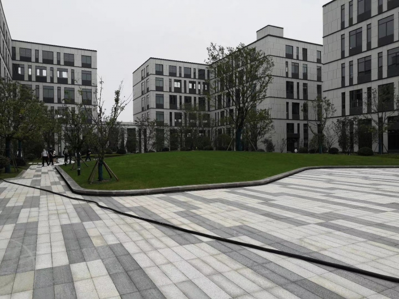 天府新區視高S5號線旁 50年產權廠房招商 1100平起獨棟 贈送面積大 得房率最高120%