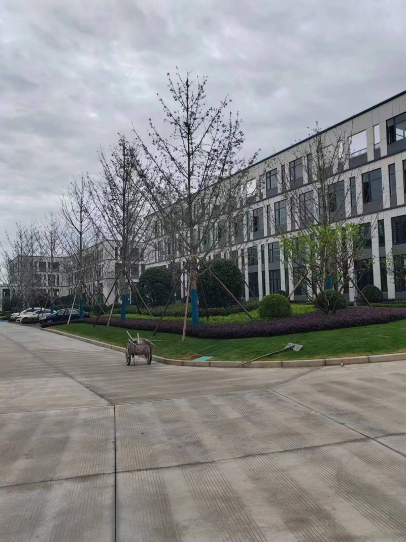 天府新區S5地鐵站點旁 國企項目 1200平起售 50年產權