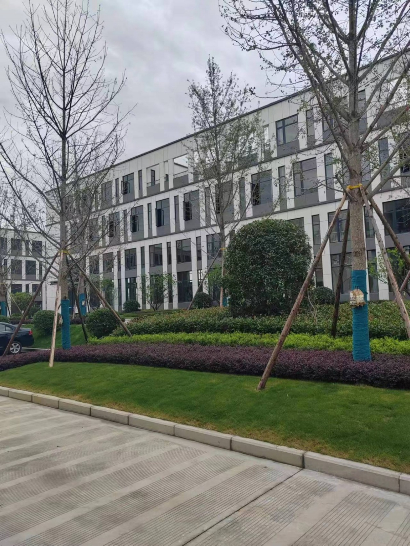 天府新區S5地鐵站點旁 國企項目 1200平起售 50年產權