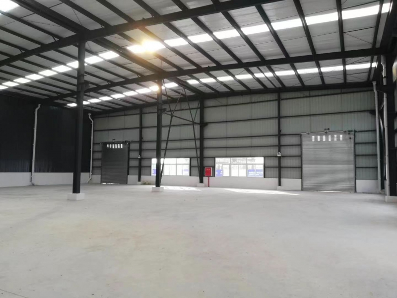 1150標(biāo)準(zhǔn)廠房出售，層高11米