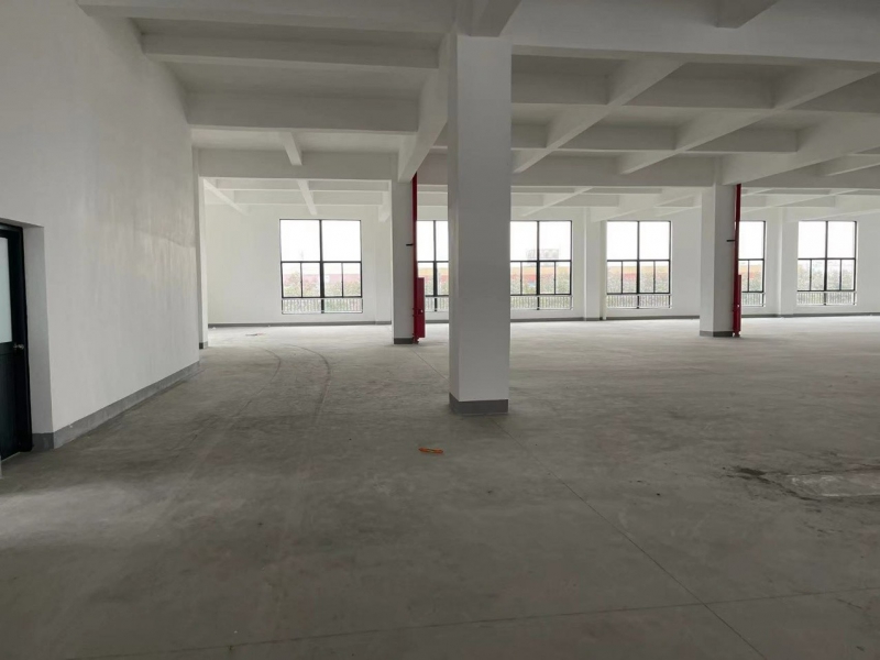 寧波北侖區標準廠房出租！單層2800平，面積可任意分割