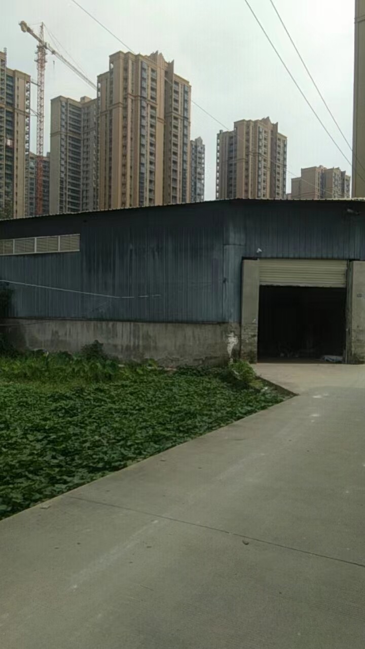 新都龍橋渭水，1600平廠房房東直租