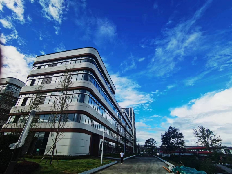 遙遙領(lǐng)先，高新西電子信息產(chǎn)業(yè)園，最小面積600平，全新多層