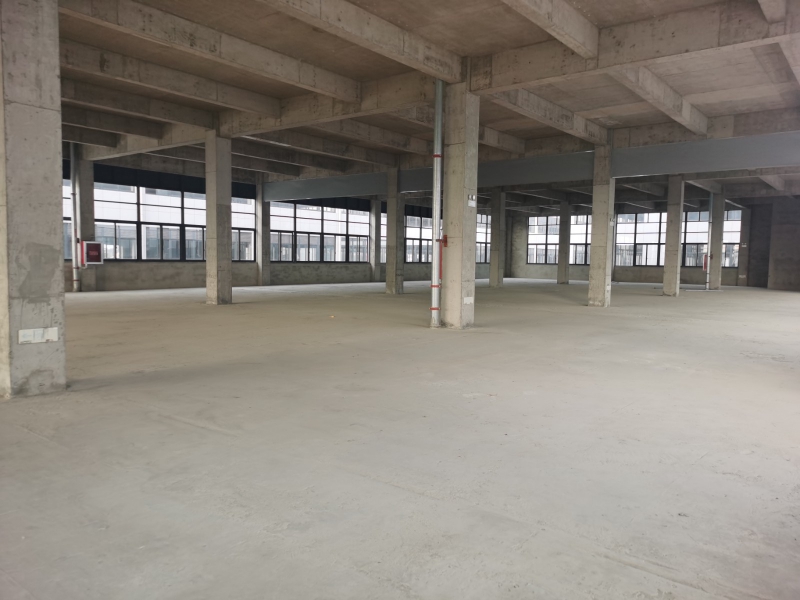 獨門獨院廠房出售 交通便捷 超大院子贈送 停車卸貨無憂