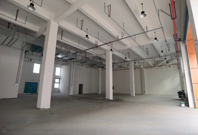 青白江智慧大道旁獨棟/單層廠房