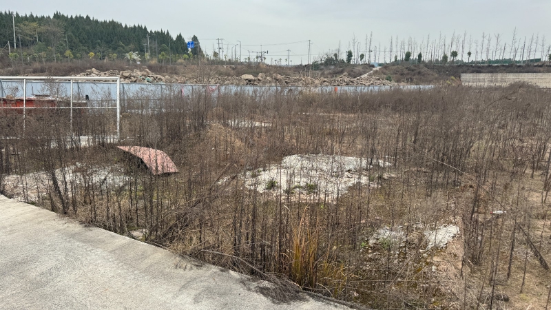 江油市龍風鎮(zhèn)工業(yè)用地出售,已報規(guī)報建,證件齊全,50年產(chǎn)權(quán)