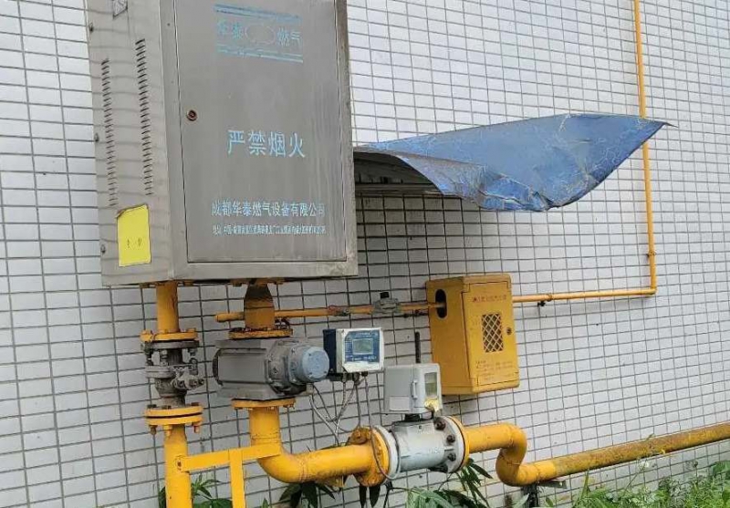 (出租) 出租蒲江標(biāo)準(zhǔn)廠房 通蒸汽水電氣，有環(huán)評(píng)，可整租可分租，可開票