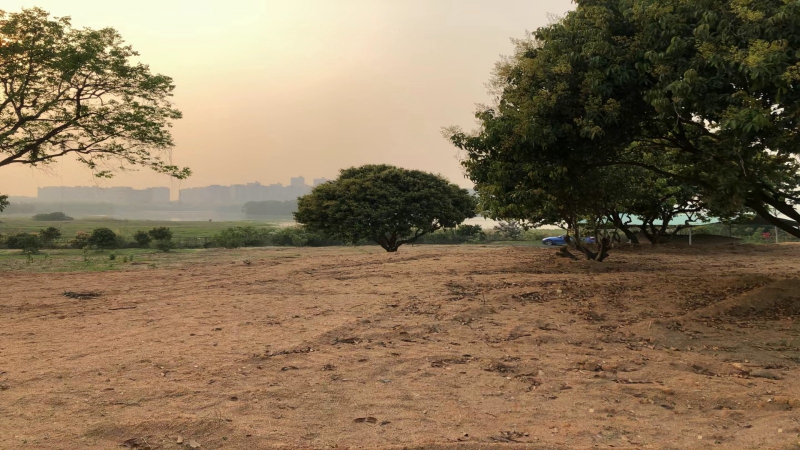 惠州市博羅縣龍華鎮(zhèn)15000平方紅本工業(yè)地皮出租