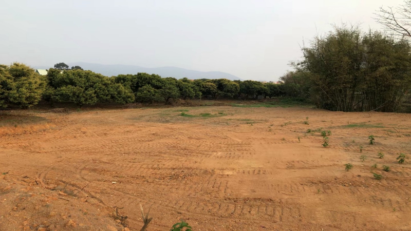 惠州市博羅縣龍華鎮(zhèn)15000平方紅本工業(yè)地皮出租