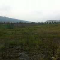 惠州市仲愷區瀝林鎮12000平方紅本工業地皮出售