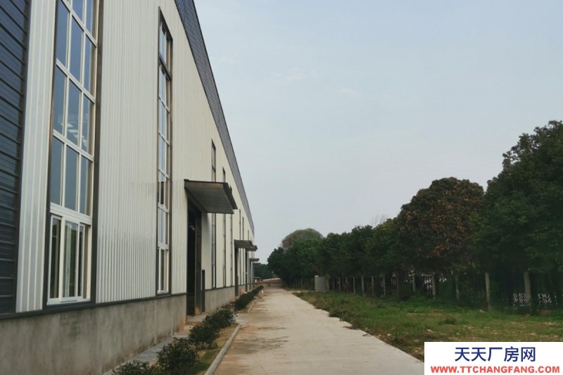 蒲江標準食品廠出租,適合食品加工,肉制品加工,糕點烘焙以及輕污染行業,鋼結構廠房,水電氣蒸汽全通