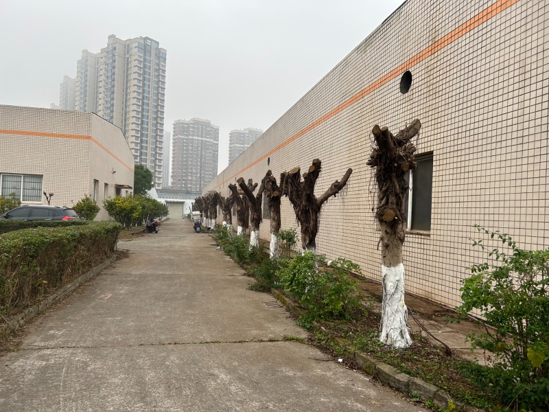 標準鋼結構和磚混廠房(或庫房)出租