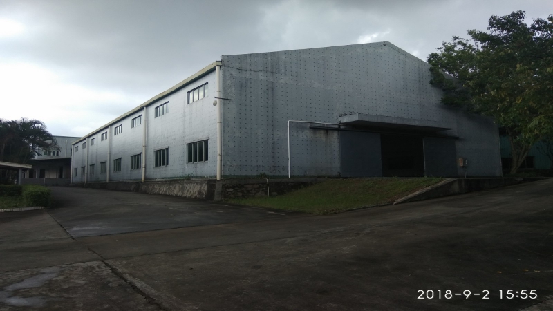 東莞市橋頭鎮社區15000平方單層廠房倉庫出租