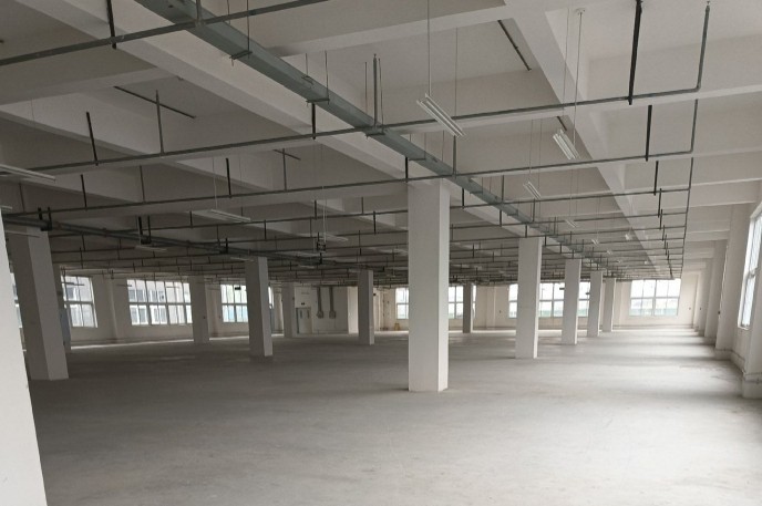 青白江食品廠出租 可分租 可辦證