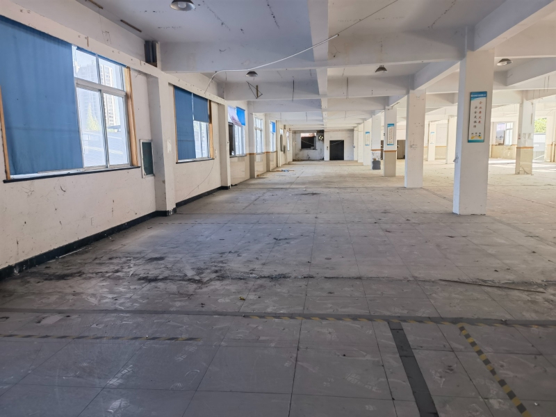 時(shí)代高架下.235國道旁框架結(jié)構(gòu)廠房出租