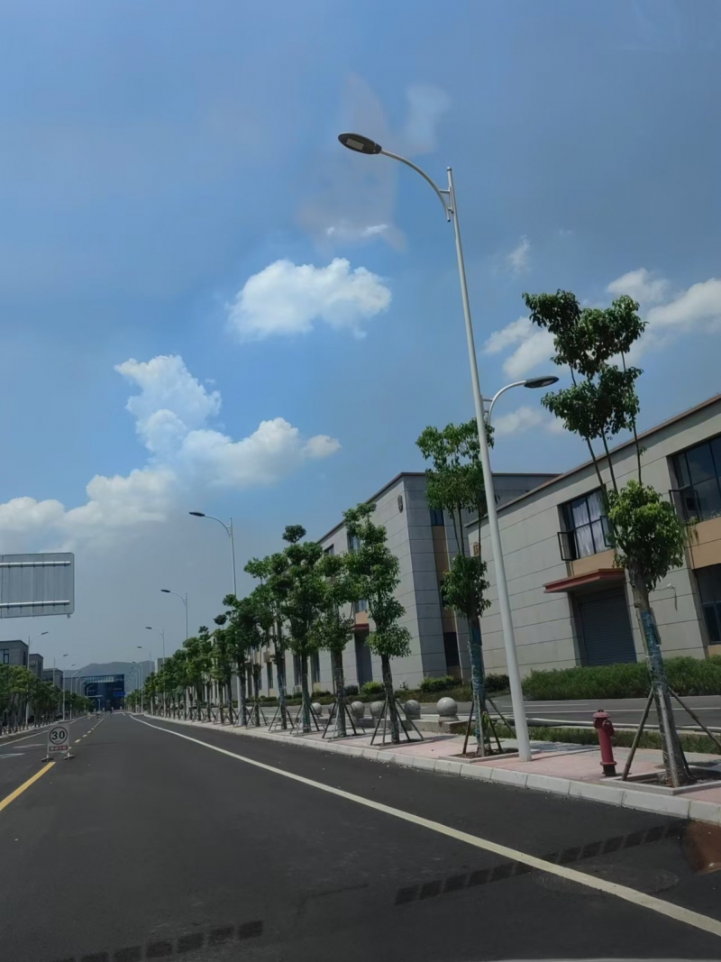 成都周邊單層鋼結構出售1500