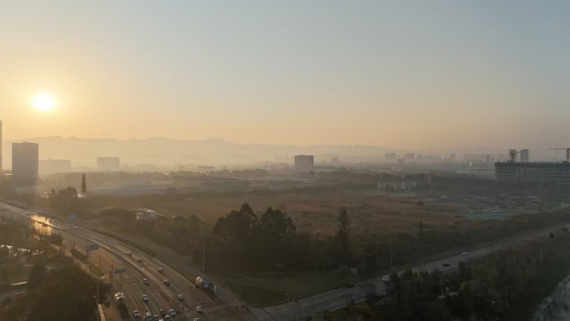 成都經(jīng)開(kāi)區(qū) 1000㎡標(biāo)準(zhǔn)廠房出售 獨(dú)門(mén)獨(dú)院戶(hù)型獨(dú)立產(chǎn)權(quán) 臨地鐵高鐵